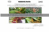 Estudio de la variabilidad de cultivares nativos deflores del género Heliconia