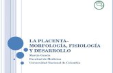 La Placenta Morfología, Fisiología y desarrollo