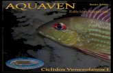 Aquaven Ciclidos Venezolanos Junio