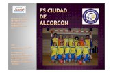 FS Ciudad de Alcorcón, ficha de la Liga