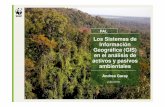 Los GIS en el analisis de activos y pasivos ambientales