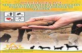 Ordenanza Nro3: Tenencia Responsable de Animales Domésticos en Quilpué