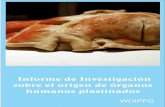 Informe de Investigación sobre el origen de órganos humanos plastinados