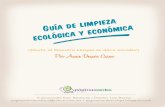 Limpieza ecologica y económica