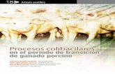 16-25. Artículo Manuel Toledo Colibacilosis
