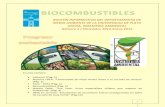 Biocombistibles - IA