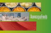 Brochure Aconcagua Foods