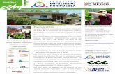 Boletín Fundación Empresarios por Puebla #7