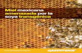 Miel mexicana amenazada por la soya transgénica