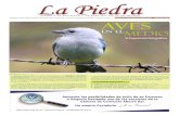 Edicion Mayo 2013 Periódico La Piedra