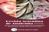 Revista Argentina de Anatomía Online 2011; 2(4): 101-136.