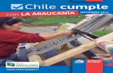 Chile Cumple Araucanía