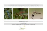 Threatened dragonflies in La Cerdanya