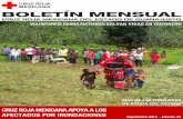 Edición 33 boletín mensual Cruz Roja de Guanajuato