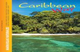 Caribbean Way nº33