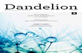Dandelion n 0