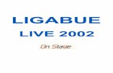 Nuovo Service Ligabue On Stage 2002