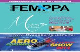 Revista Piloto FEMPPA 25