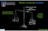 mineria vs desarrollo colombiano