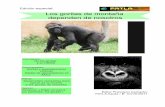 Revista edición especial Los gorilas de montaña dependen de nosotros