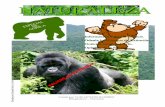 Gorilas en Extinción
