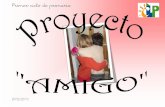 Proyecto amigo 2012-2013