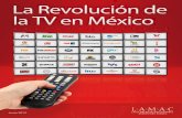 La revolución de la TV en México (Junio 2012)