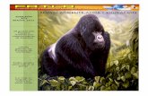 Los Gorilas. Revista Ambiente, Amor  y  Educación