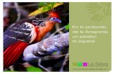 La Selva Amazon Ecolodge & Spa - folleto