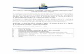Acta sesion ordinaria N° 123 Municipalidad de Coyhaique