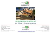 Guacimara - Commercial Dossier