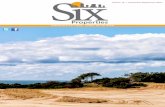 SIX Properties - Ed. 14. Diciembre/Enero 2013/14