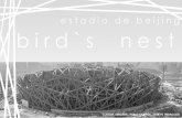 BIRD`S NEST