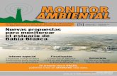 Revista Monitor Ambiental 5