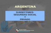 Subsectores Seguridad Social y Privado en Argentina