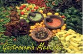 Recetario Gastronomía Mexicana