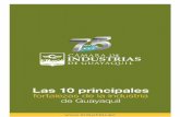 Las 10 principales fortalezas de la industria de Guayaquil