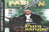 Revistas Históricas: Pasión - 1999-2000 - Número 2