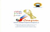Campaña Promoción Apoyo Selección Chilena