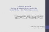 El trabajador social en mexico desarrollo y perspectivas