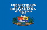 Nueva constitucion final 2011