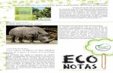 Boletín Eco Notas n. 42