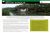Selva Zoque