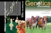 12 - revista genetica bovina