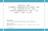 GUIA DE CUMPLIMENTACION DE LA GRAFICA DE ENFERMERIA
