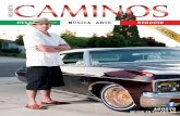 Revista CAMINOS - August 2012