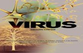 Virus de Megan Crewe