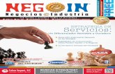 Revista Negocios e Industria Diciembre 15 a Enero 15 de 2013