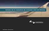 Estudio Sectorial: Aviación Civil