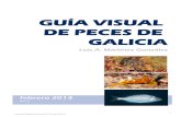 Guia visual de peces de galicia